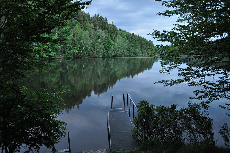 Badesteg in den Fluss Ilz umringt von Waldbäumen.