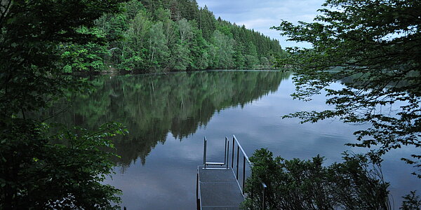 Badesteg in den Fluss Ilz umringt von Waldbäumen. 