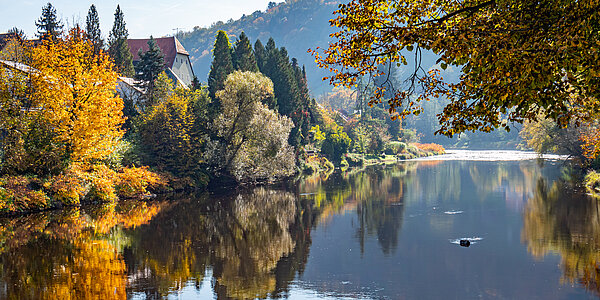 Herbstliche Szene des Flusses Ilz.  