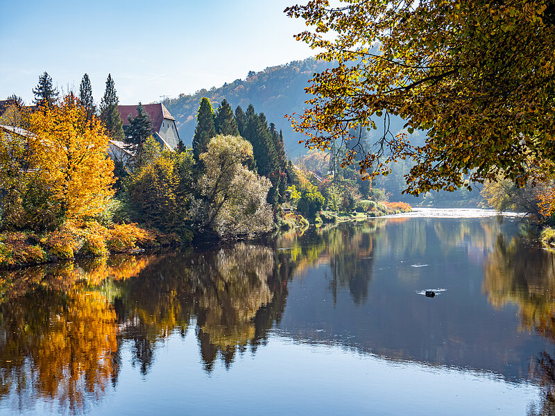 Herbstliche Szene des Flusses Ilz.  