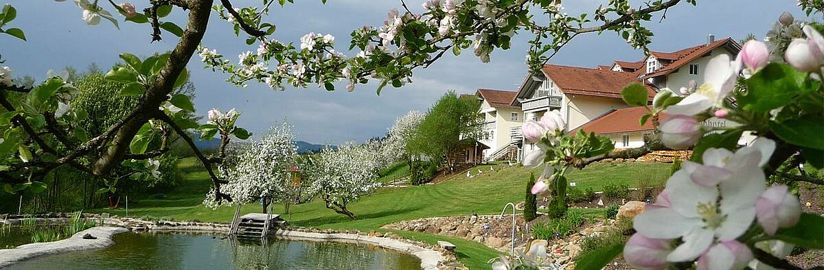 Hotel im Grünen mit Badeteich und Kirschblüten