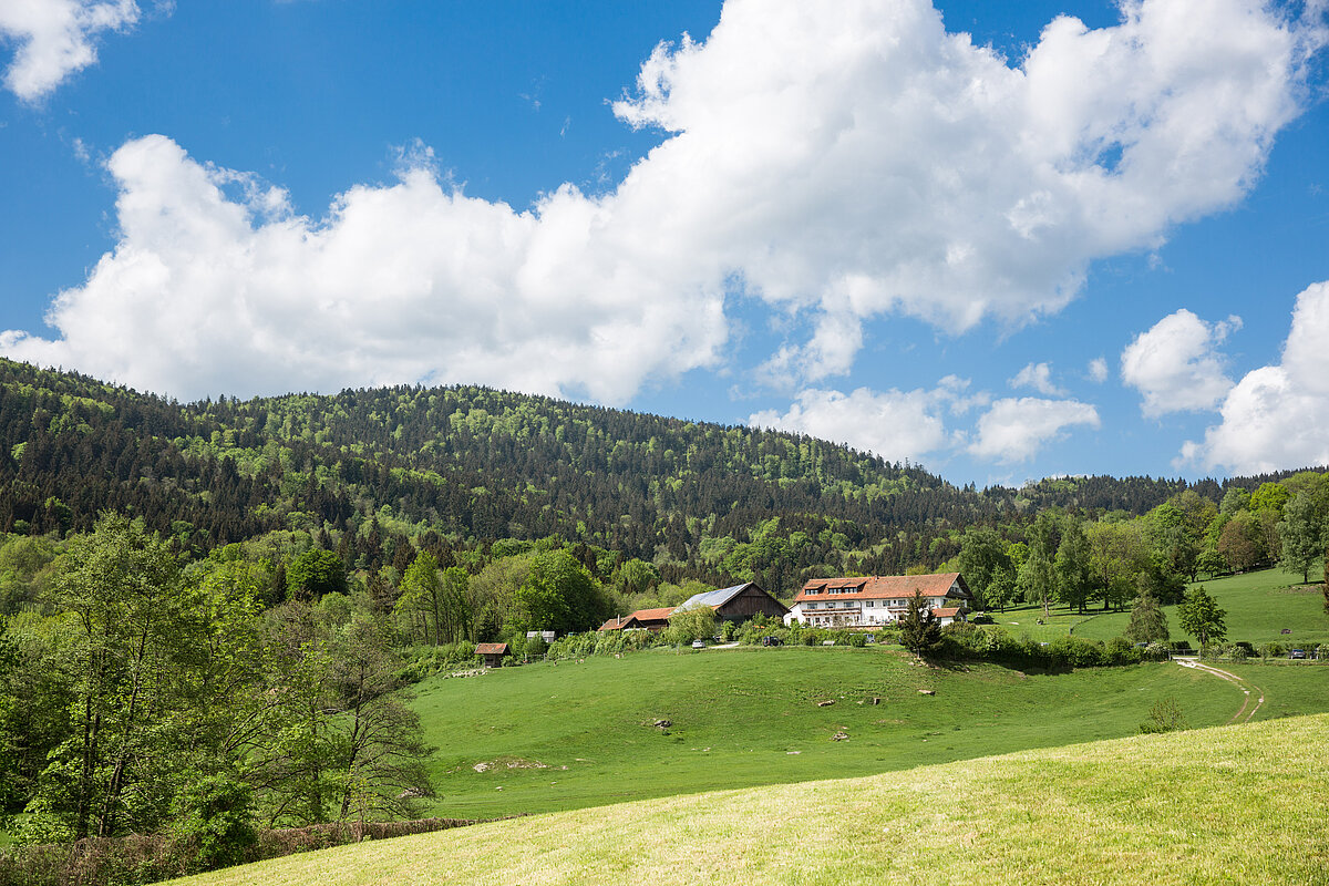 Weit entferntes Haus im Grünen, von Bergen und Wäldern umgeben